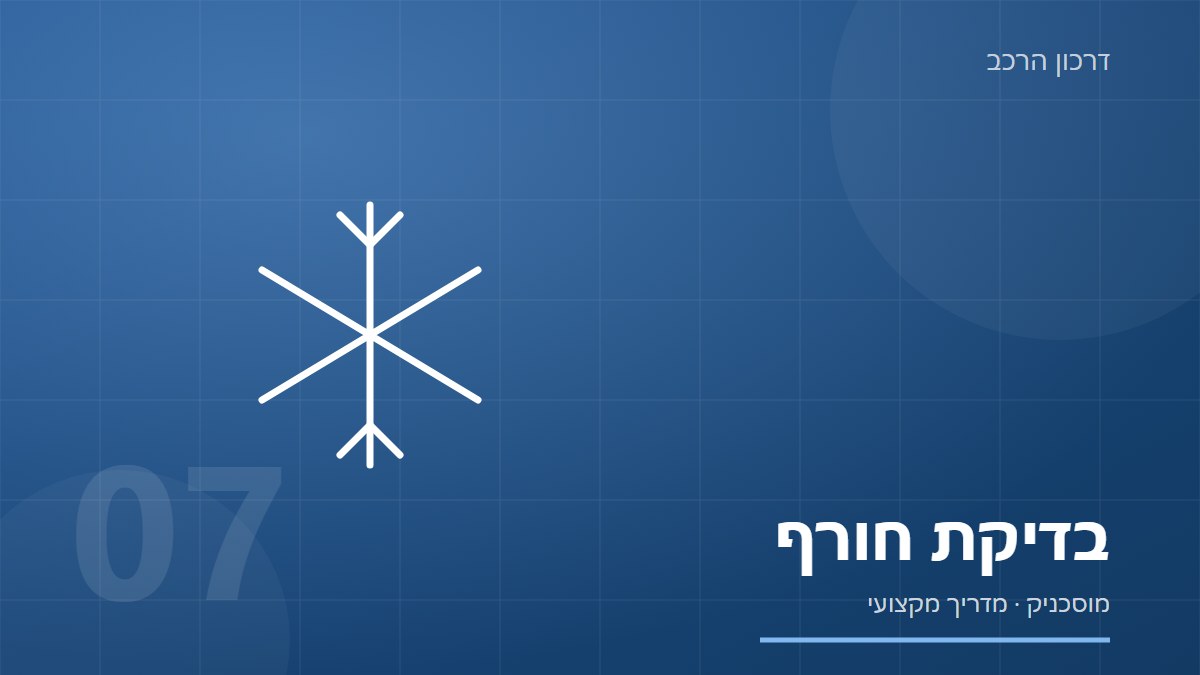 איור של פתית שלג על רקע כחול בהיר, עם הכיתוב בדיקת חורף
